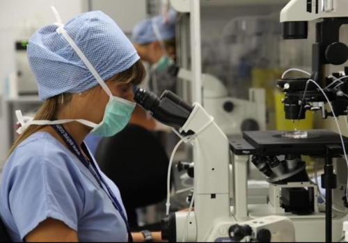 Screenshot 2022-05-27 at 16-21-33 Bolnica Codra _ Codra Hospital (@codrahospital) . Instagram photos and videos